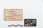 Etikett zu Bronzeradanhänger (NHMW-PRAE-024699)